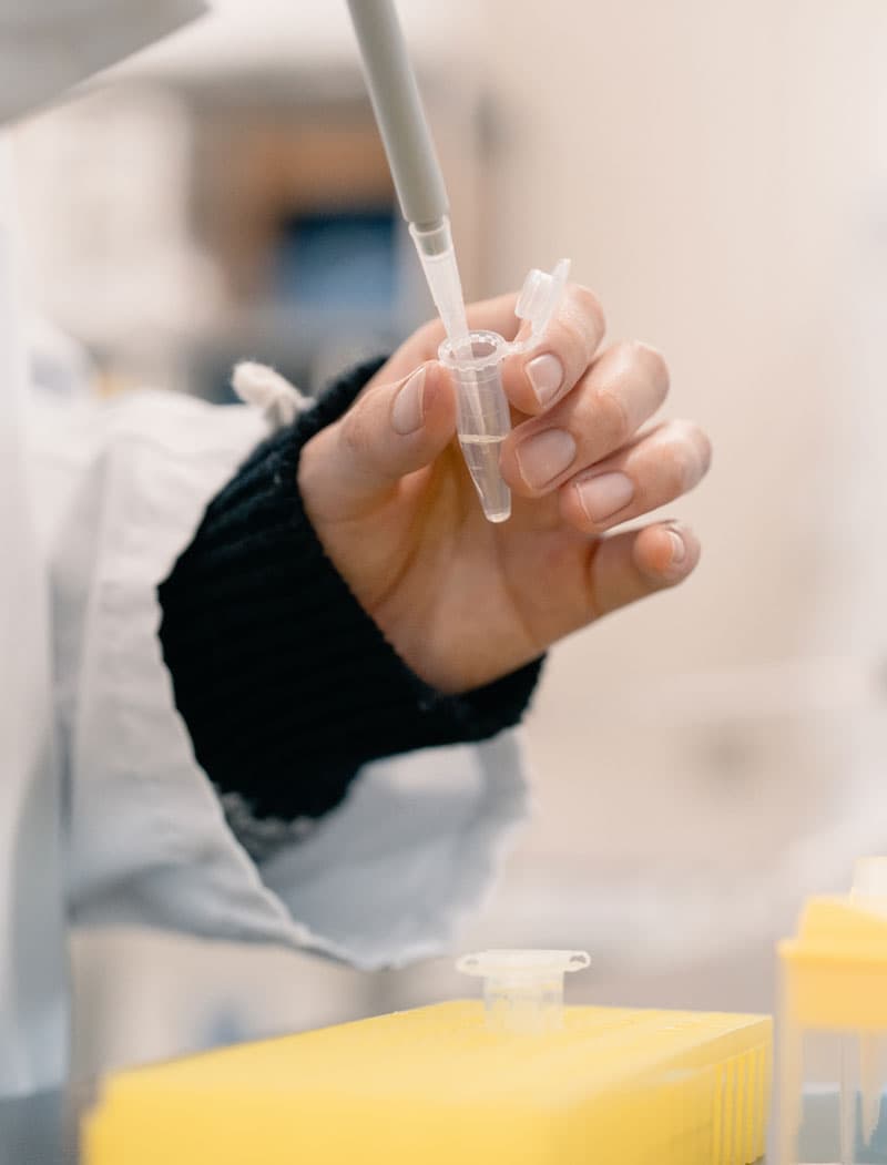 CiDERで学べること